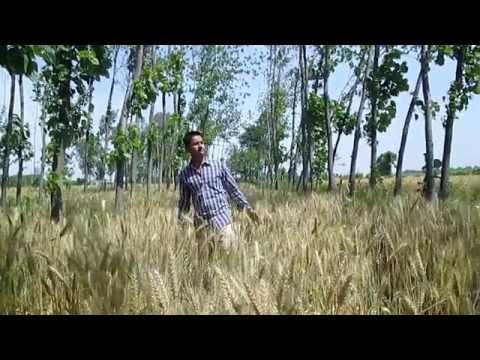 Hatha Vich - Mr & Mrs 420 - Brand New Punjabi Songs 2014