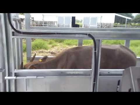 自動化RFID地磅系統