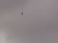 Ed. Yak 52 Aerobatic Hero
