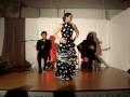 videos de Flamenco Martina Stenlund, Emil Pernblad och Thierry Boisdon.