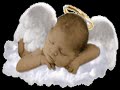 Miscarriage =/