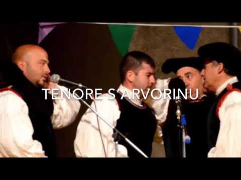 Tenore S’Arvorinu Orune