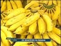 Quem Tem Colesterol Alto Pode Comer Banana