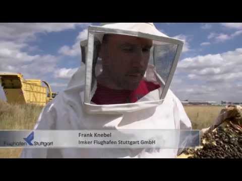 Flugblatt 04/2015 - Airport-Grün mit Mehrwert