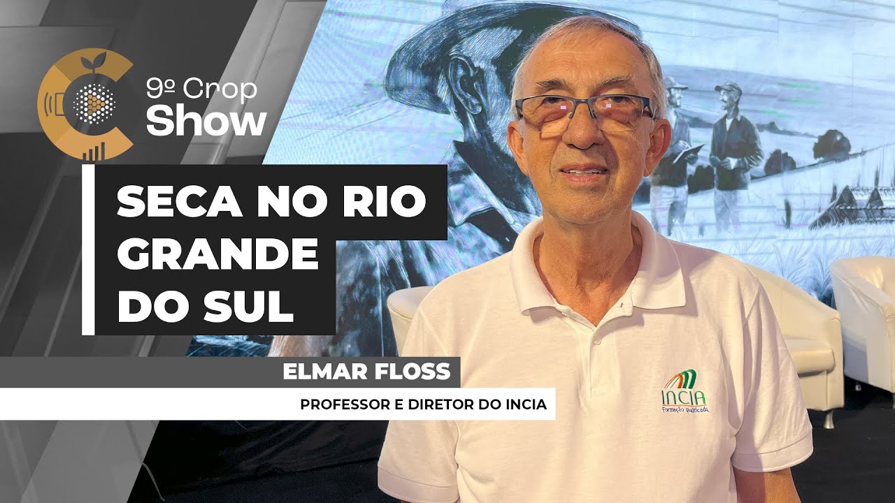 Perdas no RS seguem aumentando, mas existem estratégias para mitigar problemas