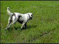 T�pp&Nups