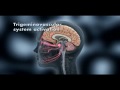 Migraine Headaches | Chiropractors | Bethel Park, PA