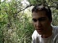Retard vs Wild