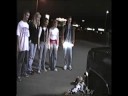 Kaysville Cow Project