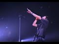 stray-pig-vanguard-hhhh.html