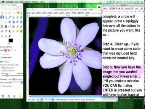 how to isolate image in gimp