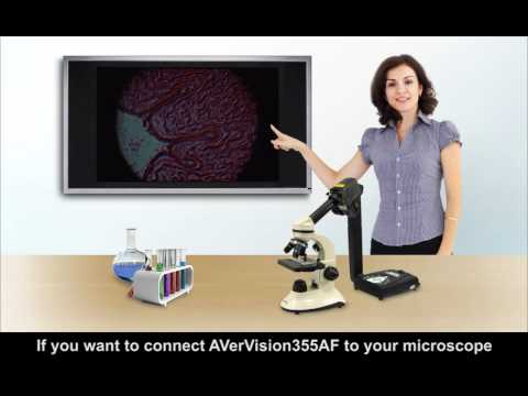 AVerVision355AF