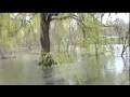 Rouge River Flood Part 2 - The Bridge, Ducks, and MUSLIM 4 LIFE