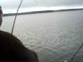 Blue catfishing with Fightin Da Blues Blue catfishing with Fightin Da Blues
