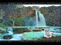 The Calm Video (Don\
