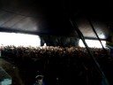 Lethal Bizzle @ Reading 2008 5 Lethal Bizzle @ Reading 2008 5