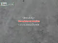 rikoset M93-Crna strela