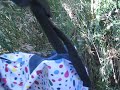 Rainy's TERRIBLE Escapade! [Spiders and Thorns And Burrs... OH MY!]