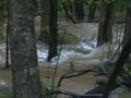 videos de Backyard Flood Plain 3