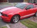 mustang 05 de teto