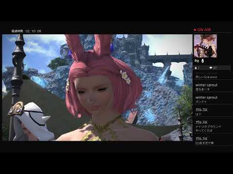 動画