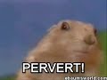 Dramatic Ground Squirrel Rodent Remix