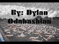 pink floyd  sheep