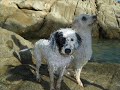 LA FOSCA
