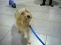 videos de crested.m4v