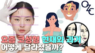 코성형 관련 영상