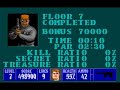 Wolfenstein Street Fighter 2