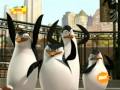 The Penguins of Madagascar-funny Animations