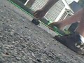 Exploding Toy Car