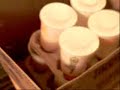 Largest Mcdonalds order ever