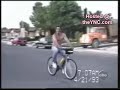 human idiots : d