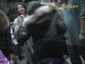 ボヨヨンSUNDAY in 代々木公園