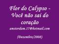 videos de Flor do Calypso - VocÃª nÃ£o sai do CoraÃ§Ã£o