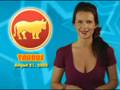 Taurus Horoscope August 21, 2008