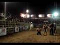 GERMANA RODEO