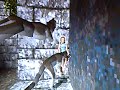 WEIRD TOMB RAIDER 1 GLITCH WEIRD TOMB RAIDER 1 GLITCH