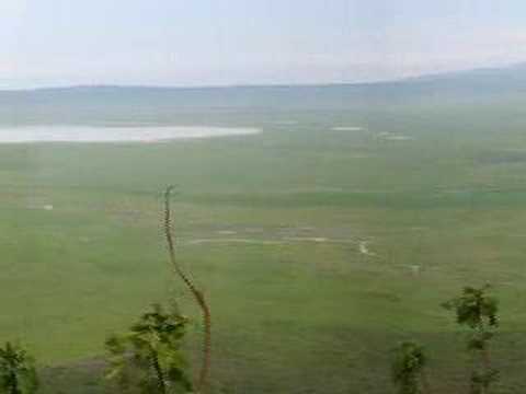 Serengeti and Ngorongoro Impressions