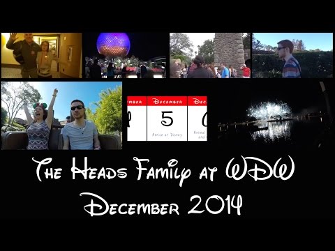 how to do disney world in 2 days