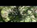 Walters & Shieff episode 1
