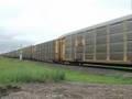 UP 4162 Leads Autotrain West