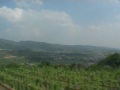 Azienda Vinicola Recchia Azienda Vinicola Recchia