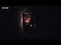 Feeling claustrophobic? Steve Leonard crawls down a wombat burrow to discover more about this extreme animal's main defence tactics. Watch out, they may be cute when they're babies, but become feisty adults!