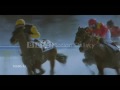 BBC Advert ~ Equestrianism 2009 