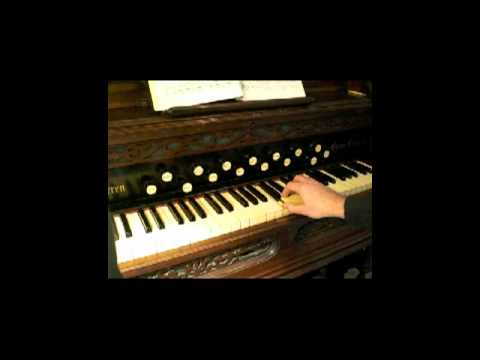 how to learn organ
