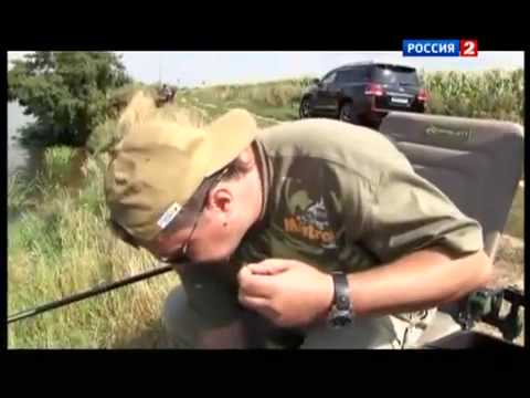 YouTube Трейлер