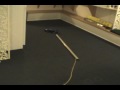 Quick Losi XXX-S Drift In Basement